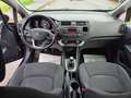 Kia Rio Dream Team Blau - thumbnail 10