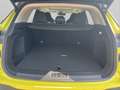 BAIC Senova X55 Beijing X55 LUXORY Grün - thumbnail 20