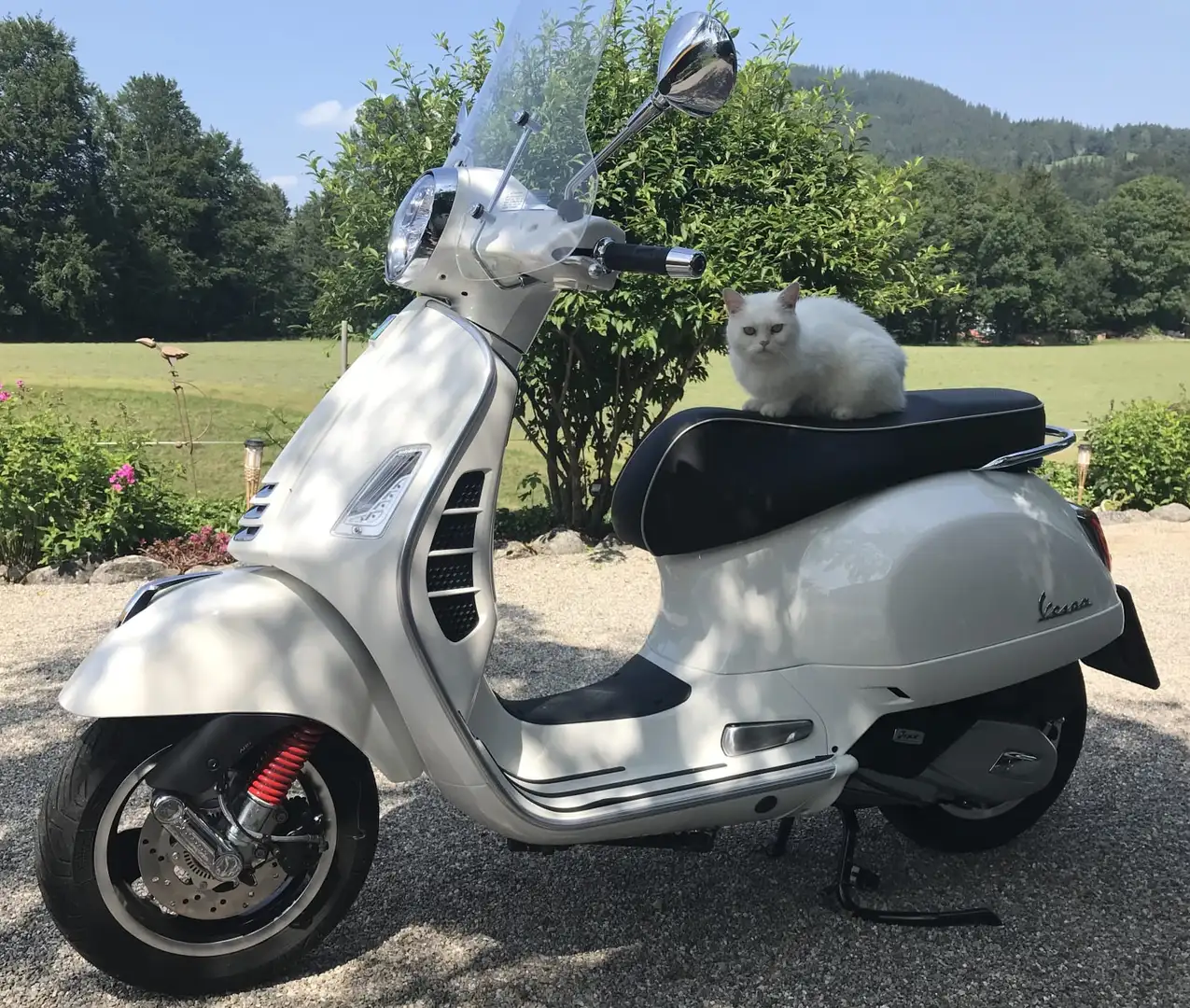 Vespa GTS Super 125 E5 Bianco - 2