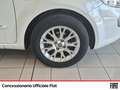 Fiat Punto Evo evo 5p 1.2 blue&me s&s Bianco - thumbnail 14