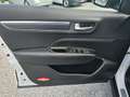 Renault Koleos dCi 185 4WD Intens X-Tronic Aut. *AHK* Weiß - thumbnail 10