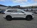 Renault Koleos dCi 185 4WD Intens X-Tronic Aut. *AHK* Weiß - thumbnail 4