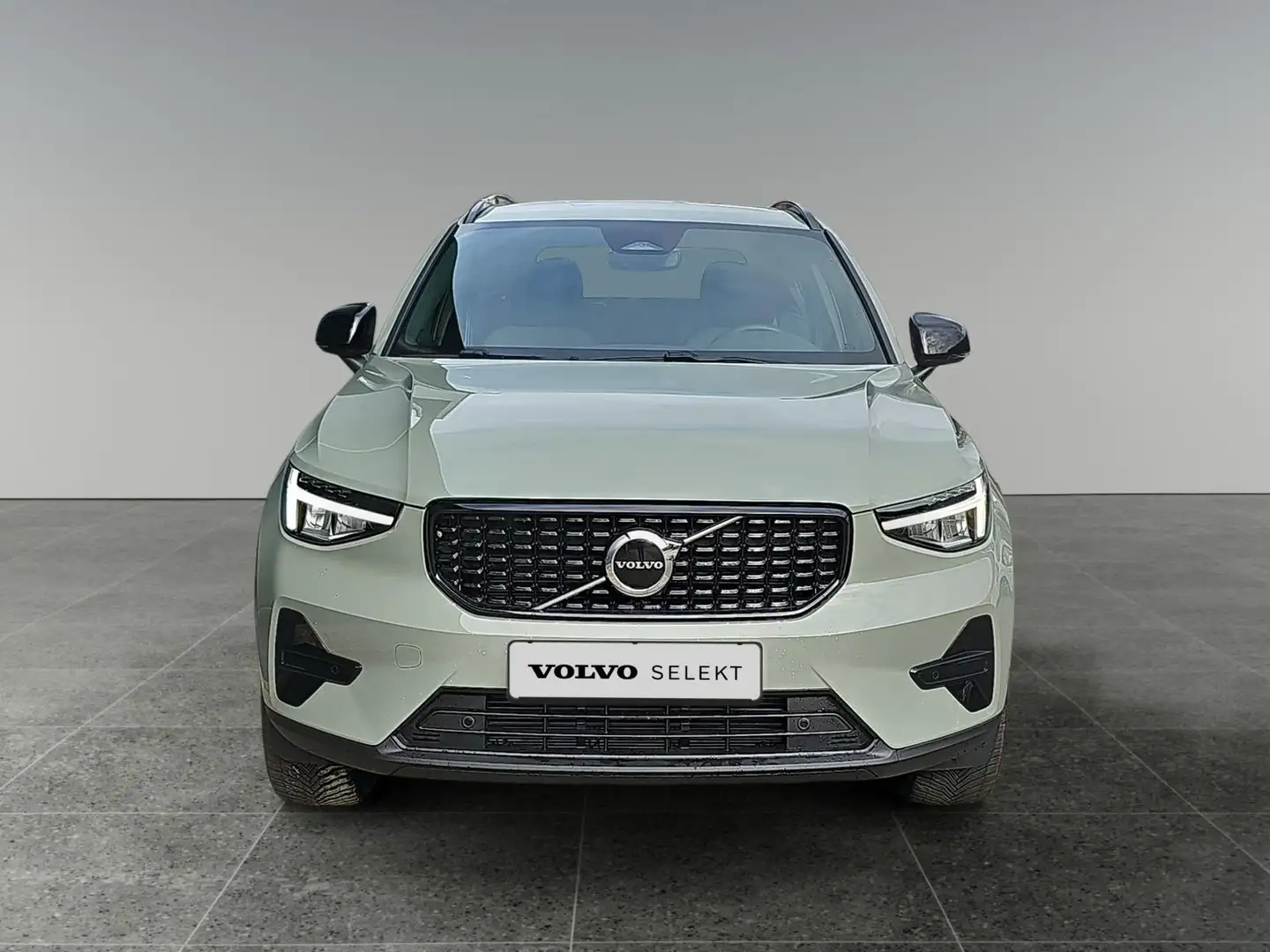 Volvo XC40 2.0 B4 Plus Dark | Trekhaak | Verwarmbare voorruit Vert - 2