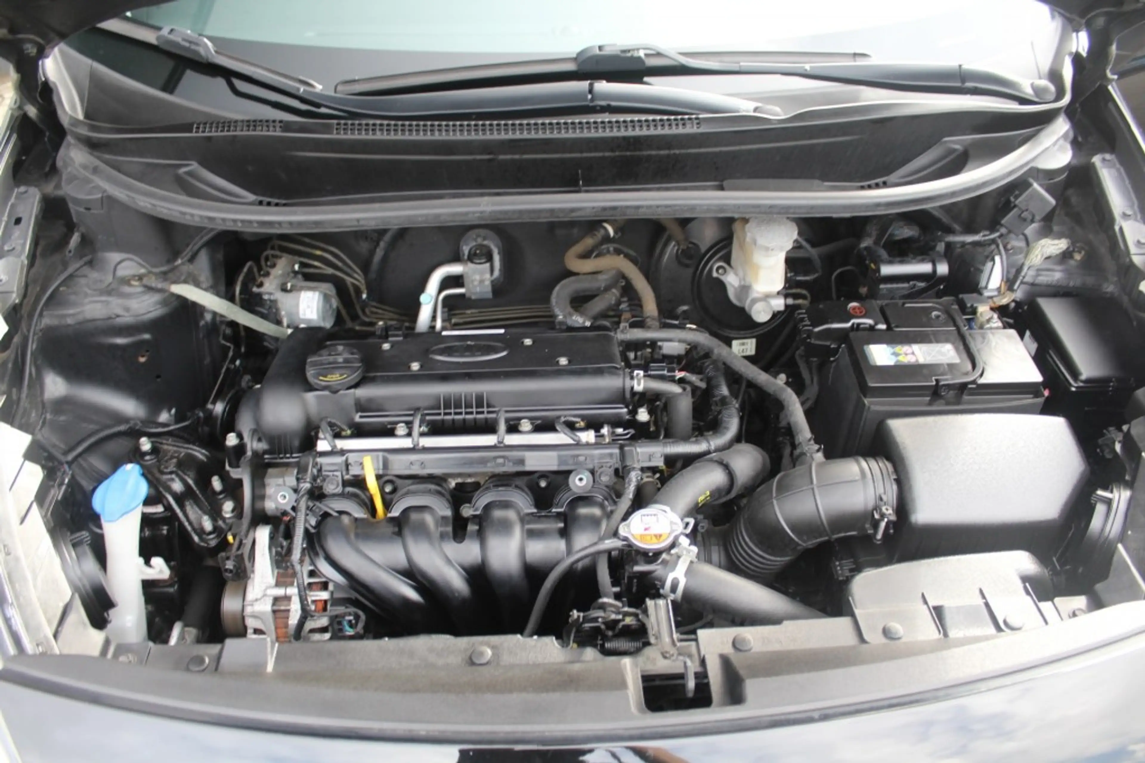 Kia Rio Dream Team / Eerste eigenaar en Dealer onderhouden — photo 39