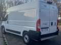 Fiat DUCATO MAXI METANO /BENZ Bianco - thumbnail 8