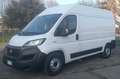 Fiat DUCATO MAXI METANO /BENZ Bianco - thumbnail 2
