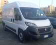 Fiat DUCATO MAXI METANO /BENZ Bianco - thumbnail 4