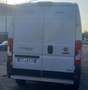 Fiat DUCATO MAXI METANO /BENZ Bianco - thumbnail 7