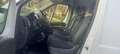 Fiat DUCATO MAXI METANO /BENZ Bianco - thumbnail 12