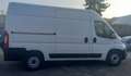 Fiat DUCATO MAXI METANO /BENZ Bianco - thumbnail 6