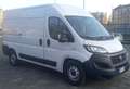 Fiat DUCATO MAXI METANO /BENZ Bianco - thumbnail 3