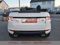Land Rover Range Rover Evoque Cabriolet HSE Dynamic*1/HAND* Weiß - thumbnail 13