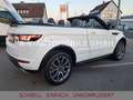 Land Rover Range Rover Evoque Cabriolet HSE Dynamic*1/HAND* Weiß - thumbnail 45