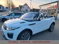 Land Rover Range Rover Evoque Cabriolet HSE Dynamic*1/HAND* Weiß - thumbnail 46