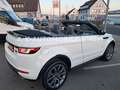 Land Rover Range Rover Evoque Cabriolet HSE Dynamic*1/HAND* Weiß - thumbnail 10