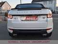 Land Rover Range Rover Evoque Cabriolet HSE Dynamic*1/HAND* Weiß - thumbnail 8