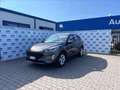Ford Kuga 1.5 EcoBlue 120 CV aut. 2WD Connect Grau - thumbnail 4