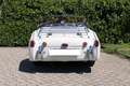 Triumph TR3 Spider "Bocca Stretta" 2.0 98 CV ISCRITTA ASI Weiß - thumbnail 2