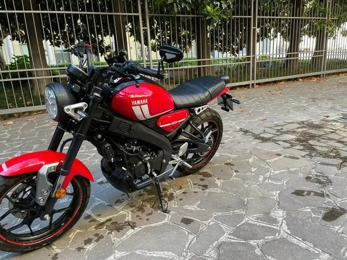 Yamaha XSR 125 Rosso - 2