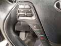 Kia Ceed SW / cee'd SW 1.6 GDI Dream Team Navi|SHZ Negro - thumbnail 18