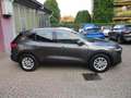 Ford Kuga 2.5 Full Hybrid 190 CV CVT 2WD Titanium Business Grau - thumbnail 7