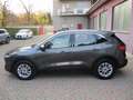 Ford Kuga 2.5 Full Hybrid 190 CV CVT 2WD Titanium Business Grau - thumbnail 3