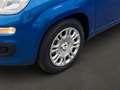 Fiat Panda MILD-HYBRID++TAGESZULASSUNG!+HAMMERPREIS! Blau - thumbnail 6