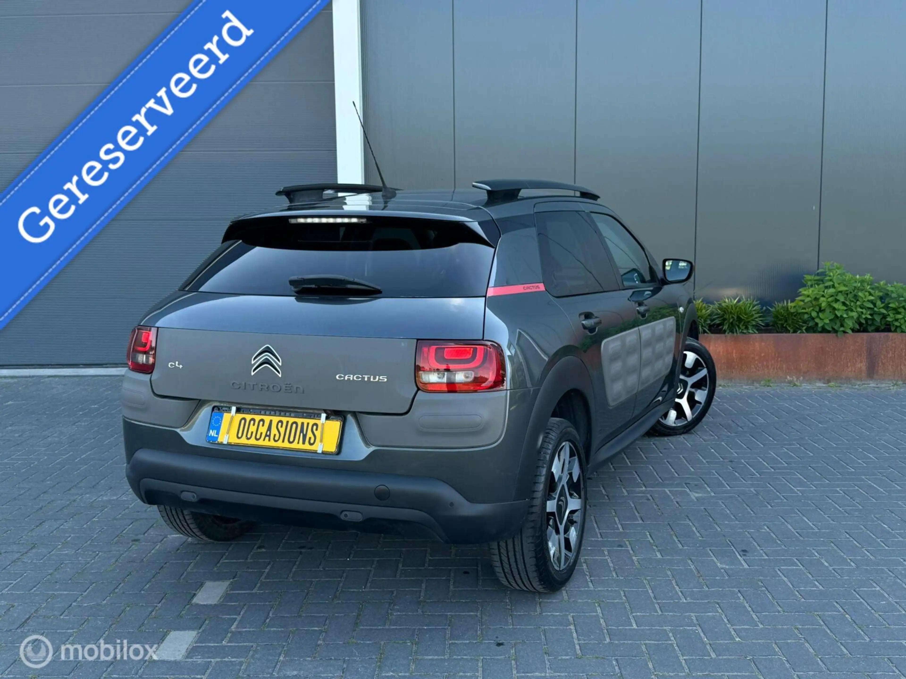 Citroen C4 Cactus 1ste eigenaar dealeronderhouden pano nw dstr — photo 10