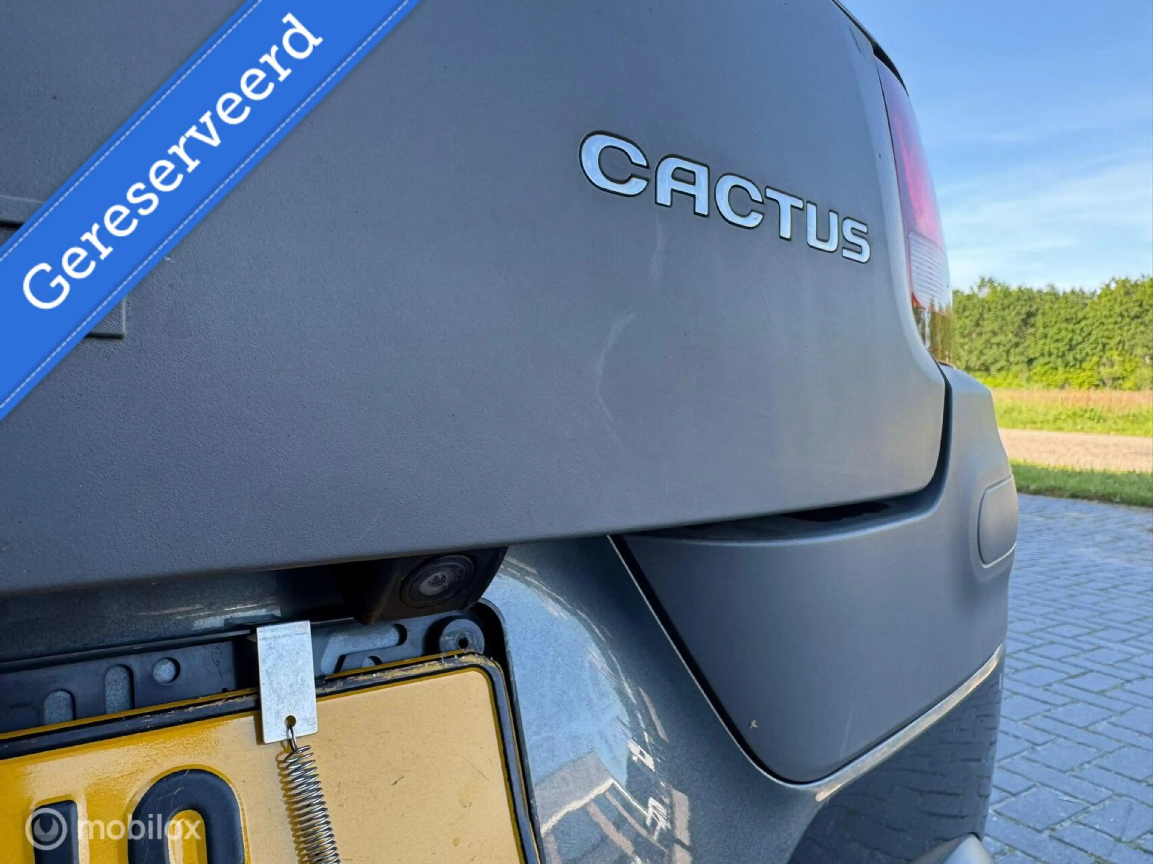 Citroen C4 Cactus 1ste eigenaar dealeronderhouden pano nw dstr — photo 19