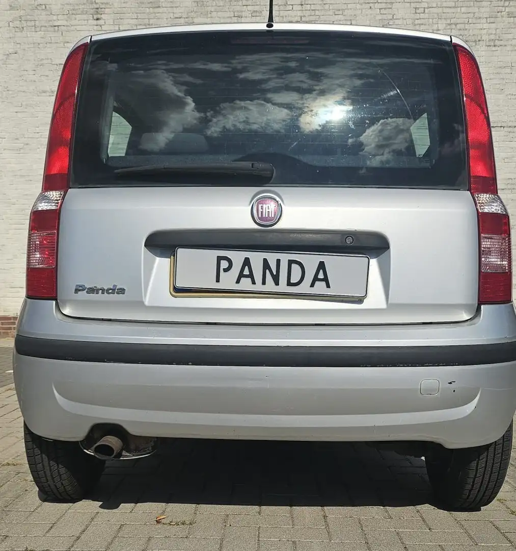 Fiat Panda Panda 1.2 Dynamic Silber - 2