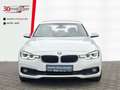 BMW 320 i Advantage +Navi +Soundsystem +Mehrzonenklima +Si Blanco - thumbnail 18