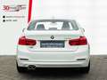 BMW 320 i Advantage +Navi +Soundsystem +Mehrzonenklima +Si Blanco - thumbnail 16