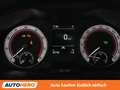 Skoda Kamiq 1.0 TSI Monte Carlo Gris - thumbnail 20