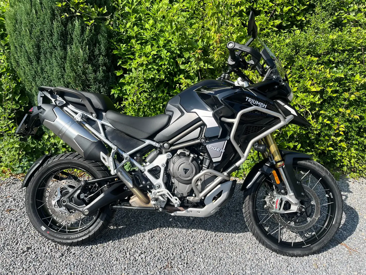 Triumph Tiger 1200 Tiger 1200 Rally Explorer Noir - 2