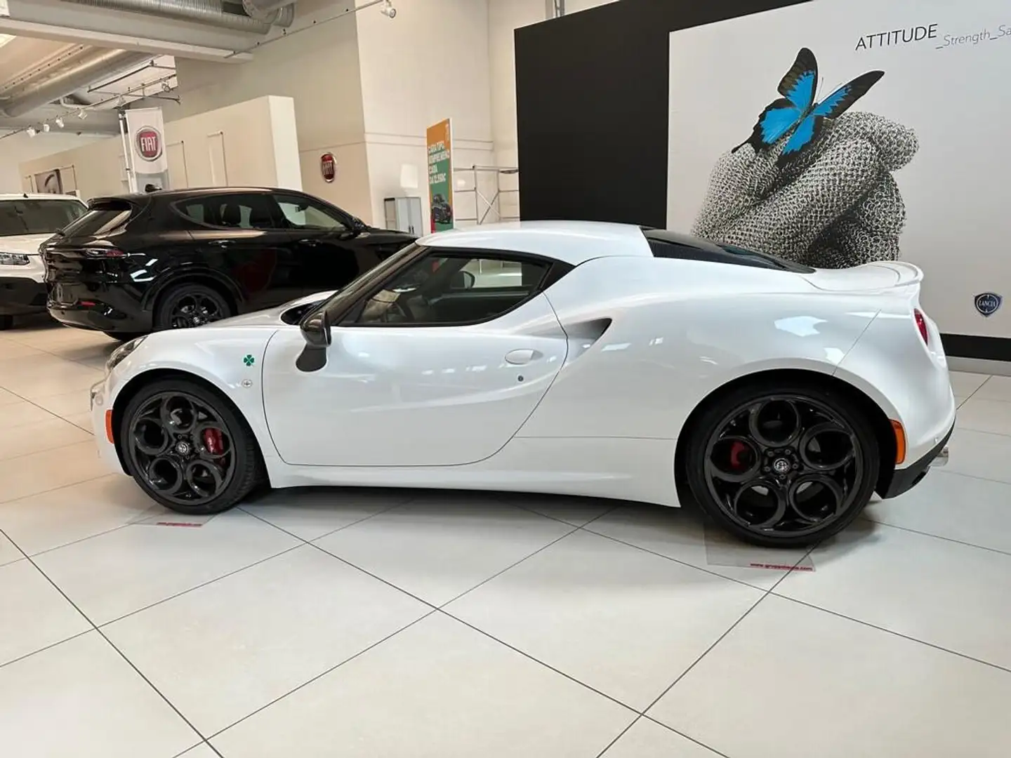 Alfa Romeo 4C Coupe 1750 tbi 240cv tct E6 Blanco - 2