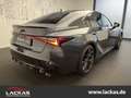 Lexus IS F IS500 F-Sport *Mark Levinson*Carplay*SHZ*Import Grijs - thumbnail 20