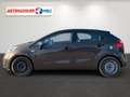 Kia Rio 1.4 16V Dream Team Klima PDC Braun - thumbnail 7