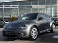Volkswagen Beetle Lim. Exclusive Design BI-XENON/NAVI/PANO Grau - thumbnail 2