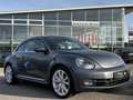 Volkswagen Beetle Lim. Exclusive Design BI-XENON/NAVI/PANO Grau - thumbnail 9