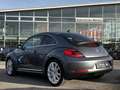 Volkswagen Beetle Lim. Exclusive Design BI-XENON/NAVI/PANO Grau - thumbnail 5