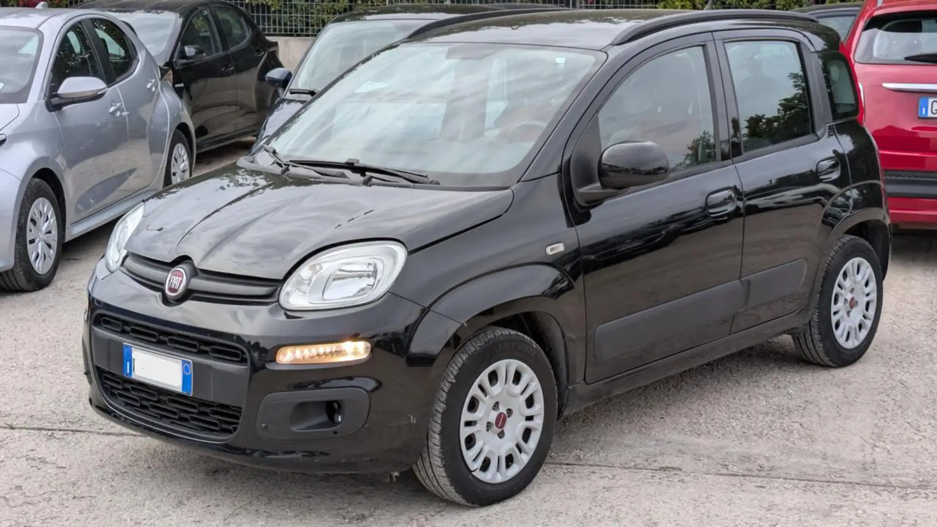 Fiat Panda GPL 1.2cc 69cv Nero - 2