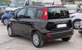 Fiat Panda GPL 1.2cc 69cv Nero - thumbnail 5