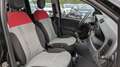 Fiat Panda GPL 1.2cc 69cv Nero - thumbnail 13