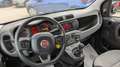 Fiat Panda GPL 1.2cc 69cv Nero - thumbnail 6