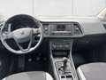SEAT Ateca 1,0 ME TSI Weiß - thumbnail 13