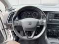 SEAT Ateca 1,0 ME TSI Weiß - thumbnail 10