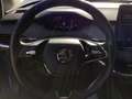 Skoda Enyaq iV 80X SUITE LEDER LM19 AHK ASSIST Blu/Azzurro - thumbnail 9