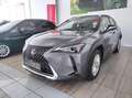 Lexus - UX Hybrid Business Grigio - thumbnail 2