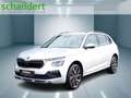 Skoda Kamiq 1.0 TSI Tour DSG LED Navi ACC Sitzheizung Silber - thumbnail 1