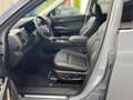 Nissan Pathfinder Platinum 3.5 V6 Grau - thumbnail 7